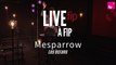 Live à FIP : Mesparrow 