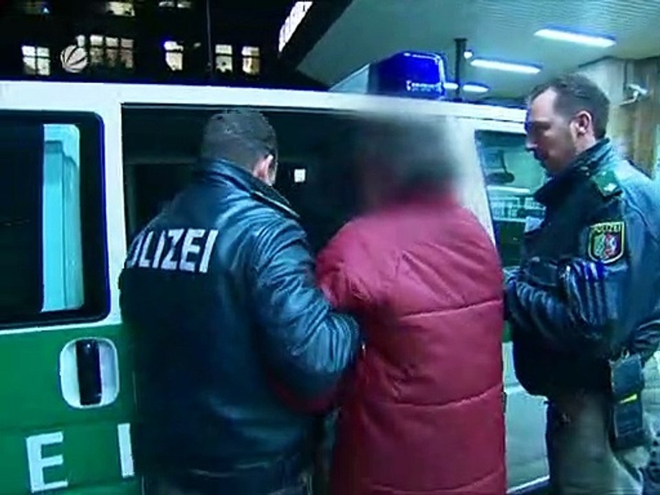 Toto & Harry Staffel 7 Folge 5 HD Deutsch