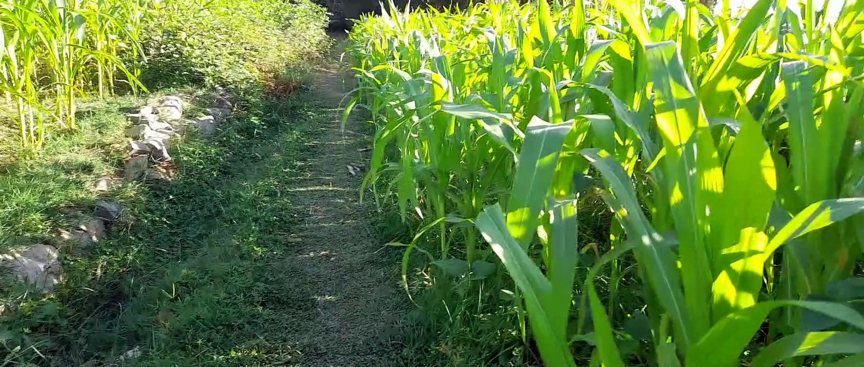 Watch the views of the High Atlas Mountains in Morocco