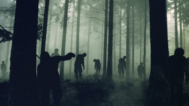 Selbsternannter Nostradamus, der Covid-19 vorausgesagt hat, hat nun ein weiteres katastrophales Ereignis vorhergesehen