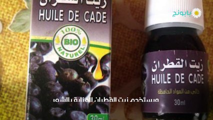 فوائد زيت القطران للشعر المتساقط والخفيف والمصبوغ