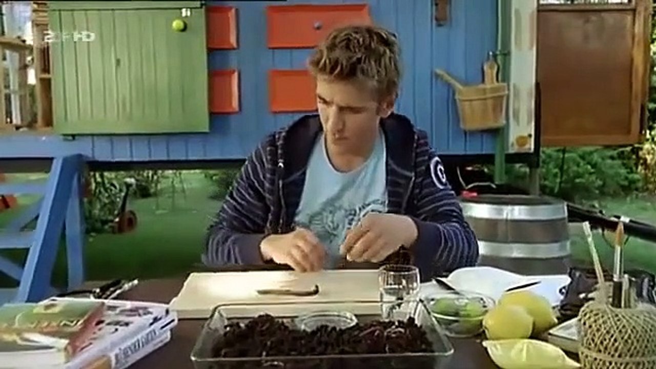 Löwenzahn Staffel 26 Folge 12 HD Deutsch