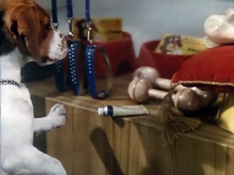 Pan Tau Staffel 1 Folge 1 HD Deutsch