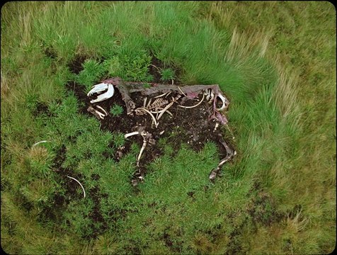 Godland Bande-annonce VO