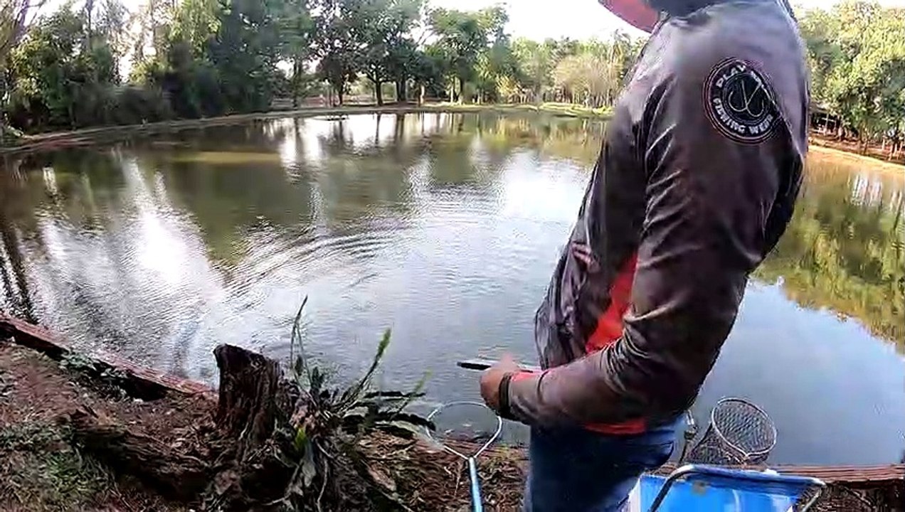 ERIKE LOPES , SÓ TILAPÍAS BRUTAS , VARINHA PONTA INTELIGENTE , CHICOTINHO COM DOIS ANZOIS  E MASSA DO MESSIANO , AÍ NÃO TEM JEITO SÓ TILAPIAS BRUTONAS !!!