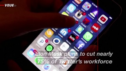 Elon Musk Plans to Cut Close to 75 Percent of Twitter’s Workforce