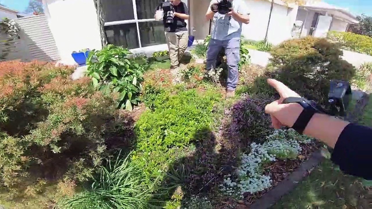 Snake Security - Schlangenalarm in Australien Staffel 1 Folge 10 HD Deutsch