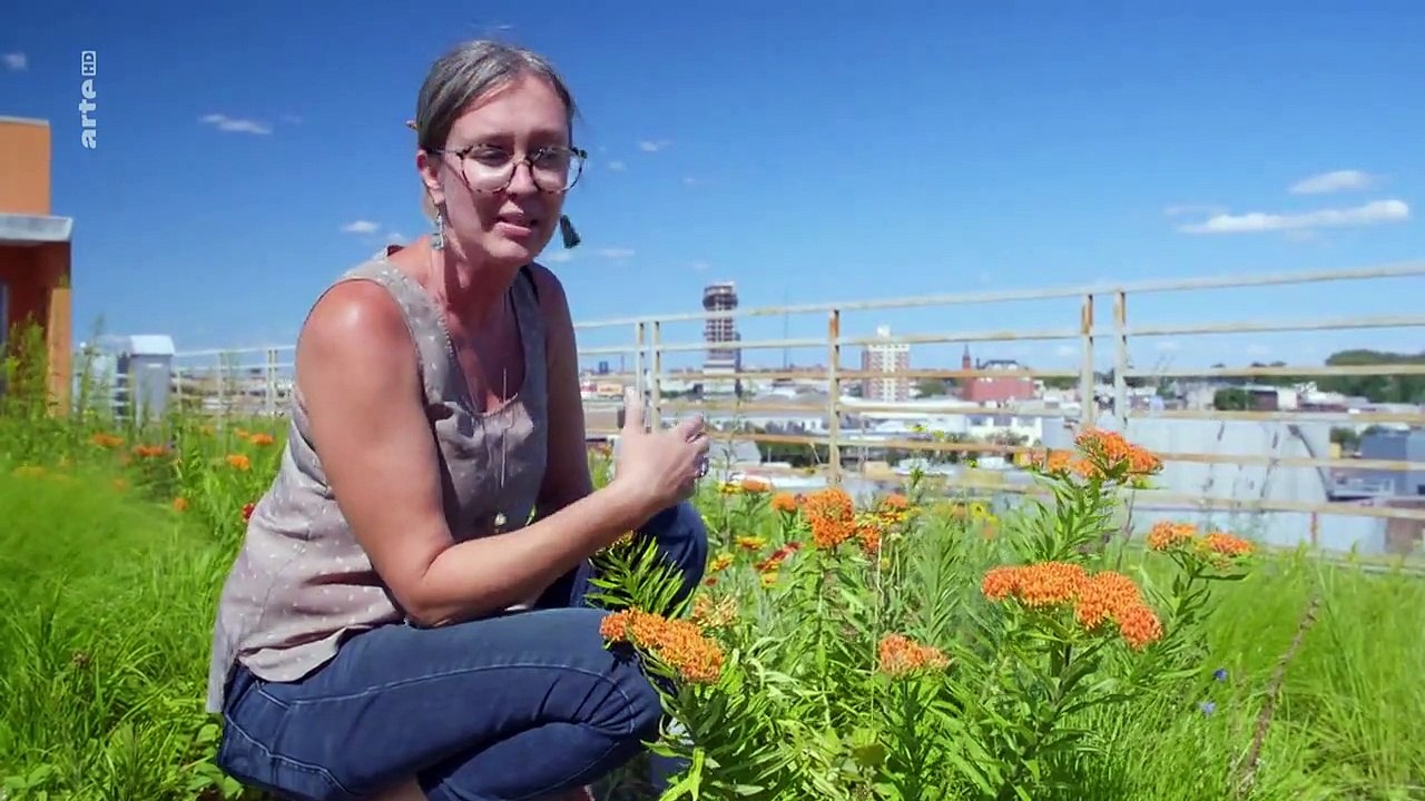 Inselwelt New York - Eine Stadt im Meer Staffel 1 Folge 1 HD Deutsch