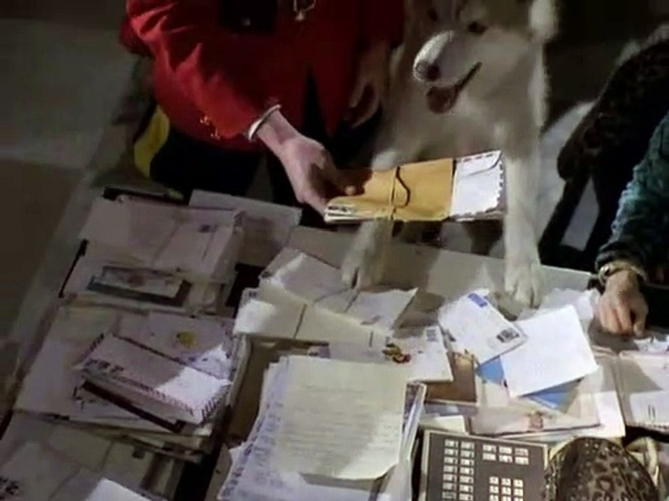 Ein Mountie in Chicago Staffel 4 Folge 7 HD Deutsch