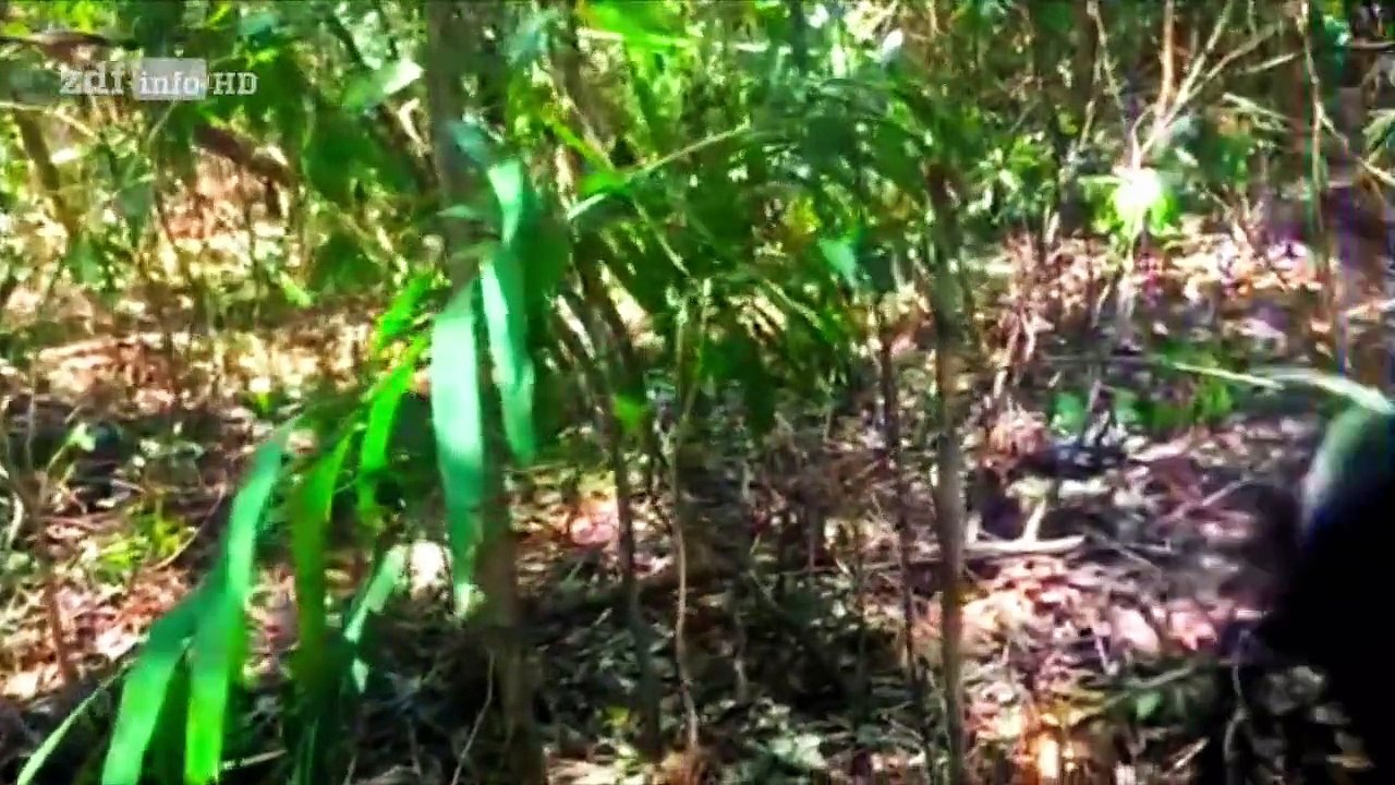 Klima außer Kontrolle Staffel 1 Folge 1 HD Deutsch