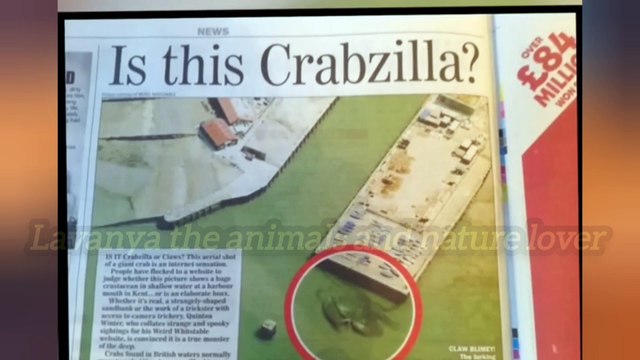 गूगल अर्थ पर मिले 3 सबसे रहस्यमय जीव Mysterious creatures found on Google Earth