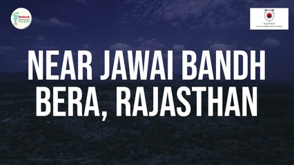 Jawai Bandh Bera - Chalo Rajasthan