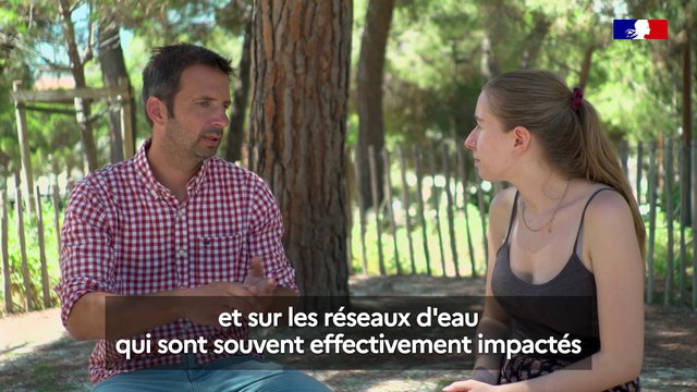 Des espèces exotiques très envahissantes