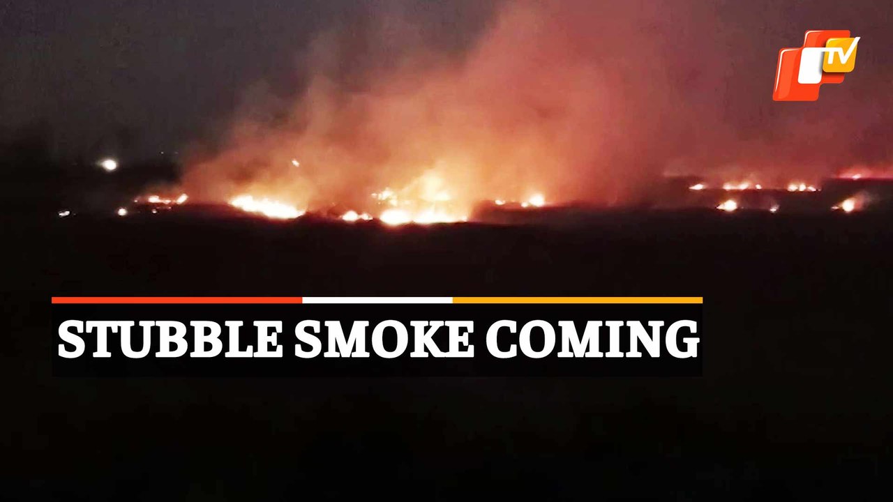 Stubble Burning By Farmers In Karnal, Haryana