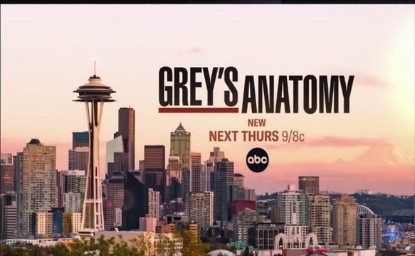 Grey's Anatomy - Promo 19x04