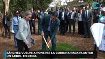 Sánchez vuelve a ponerse la corbata para plantar un árbol en Kenia