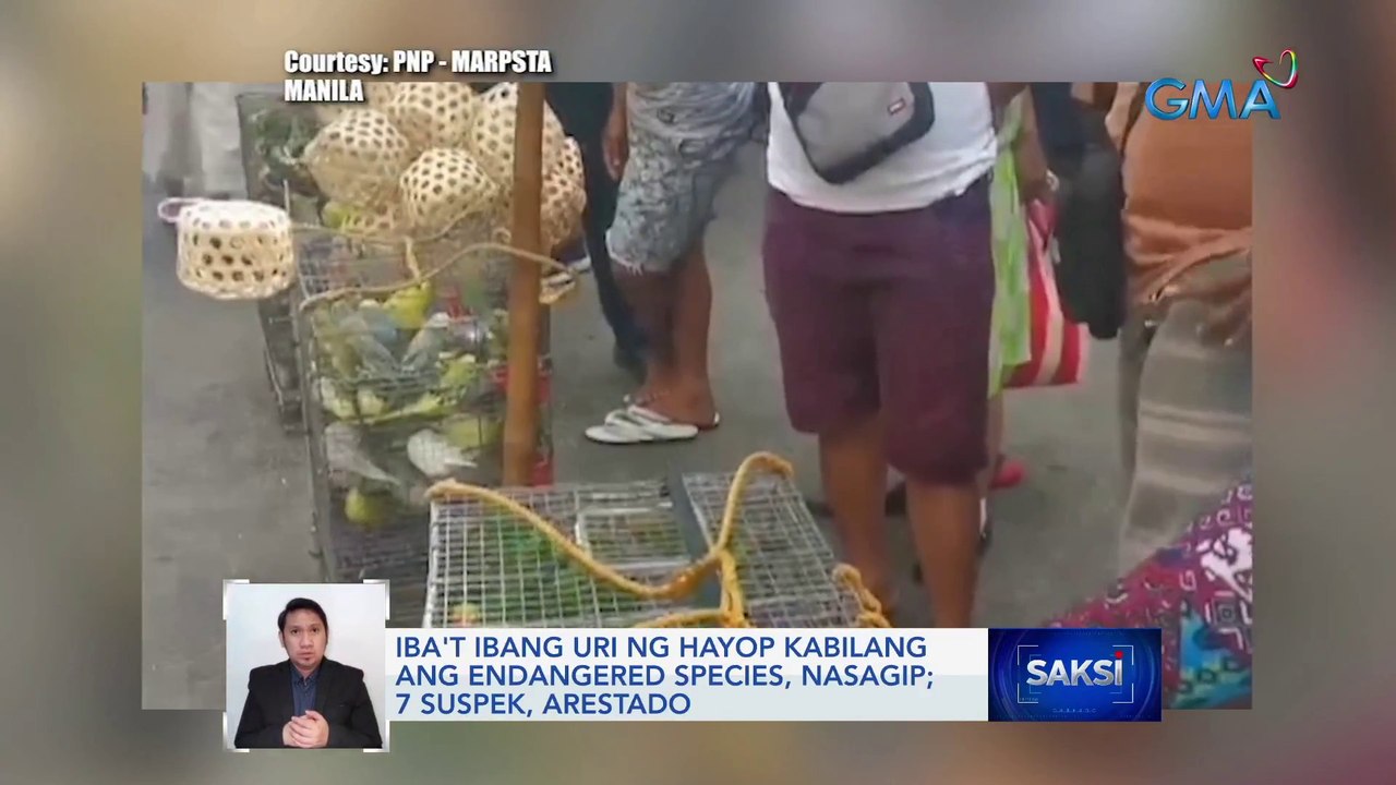 Iba't ibang uri ng hayop kabilang ang endangered species, nasagip; 7 suspek, arestado | Saksi