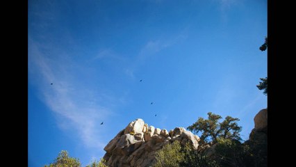 the-last-manhunt-trailer-1b_h1080p