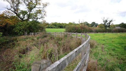 Queen's Green Canopy in West Sussex
