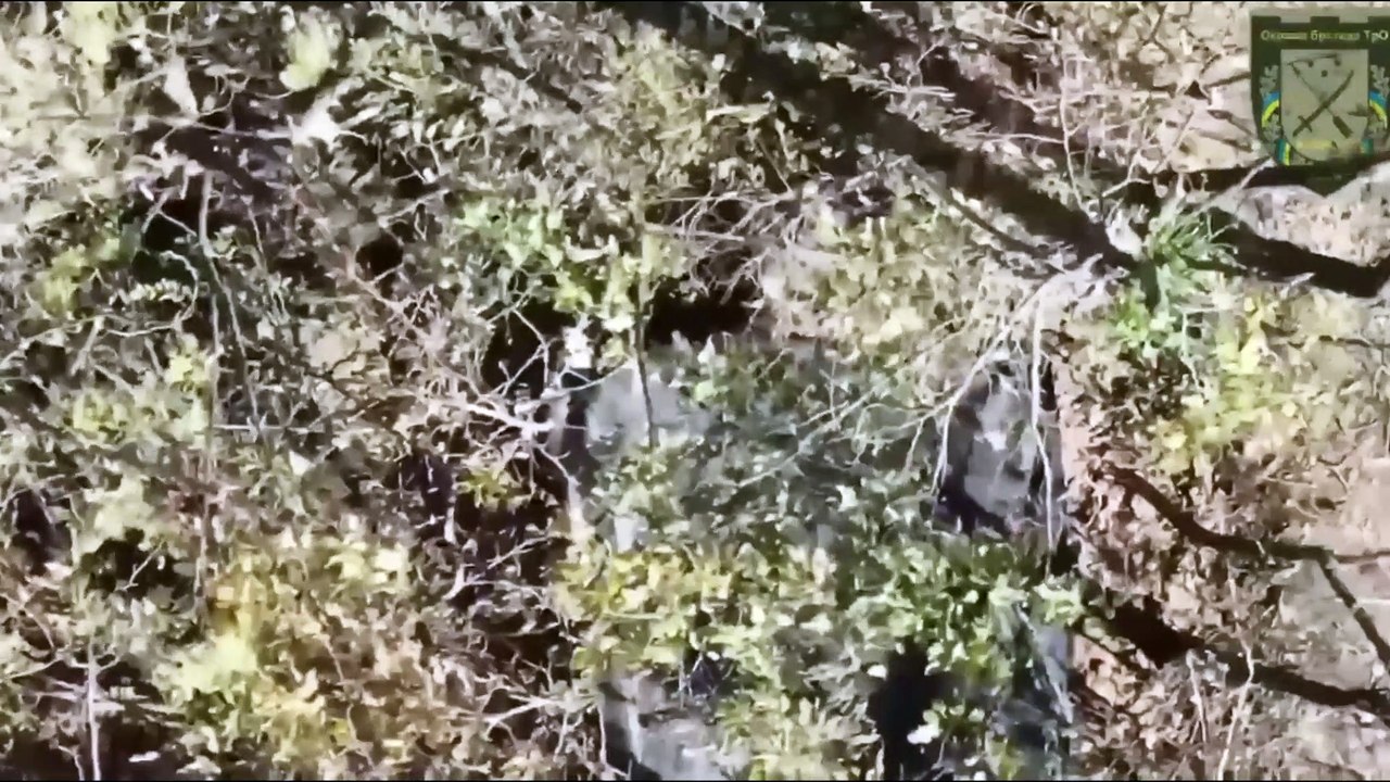 Ukrainian military destroy  drones drop bombs on unsuspecting hidden Russian soldiers