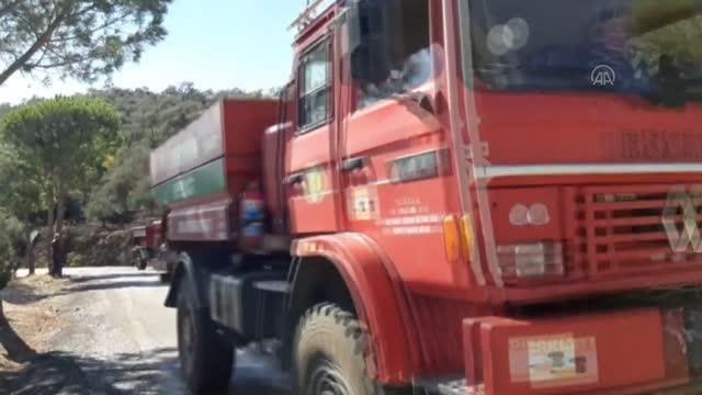 Son dakika haber! BALIKESİR - Zeytinlik alanda çıkan yangın söndürüldü