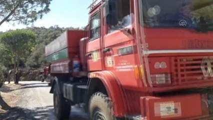Son dakika haber! BALIKESİR - Zeytinlik alanda çıkan yangın söndürüldü