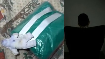 Revelador testimonio de exintegrante de secta satánica que mató a Maximiliano Tabares