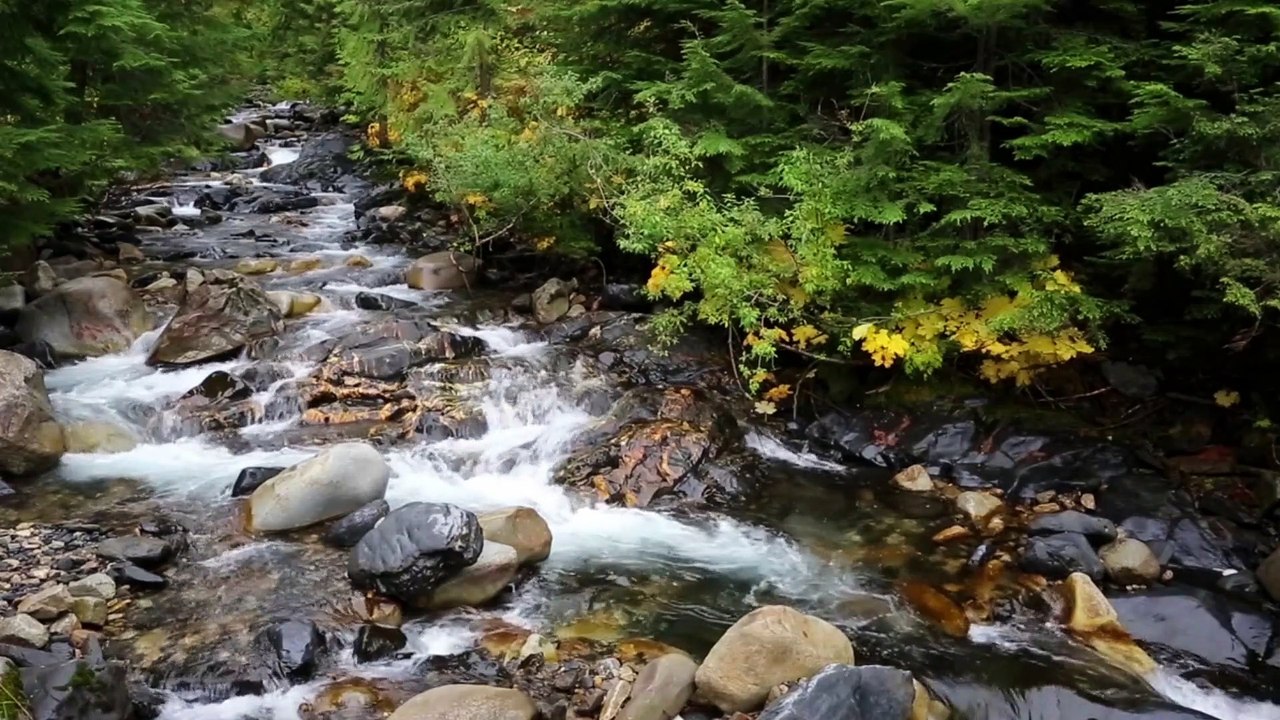 the top 12 rivers canada