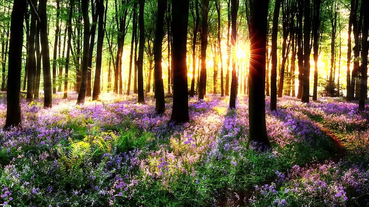 Einschlafmusik - Relax und Heilung- Helmut Teubner