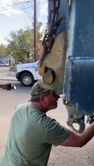 Animal Control Called After Porcupine Hitches a Ride on Vehicle