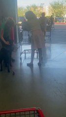 Black Lab Carries Owner's Purse