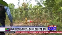Hallan muerta a fémina en bulevar del este #SPS