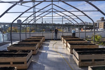 Un nouveau toit vert public dans le Centre-Sud