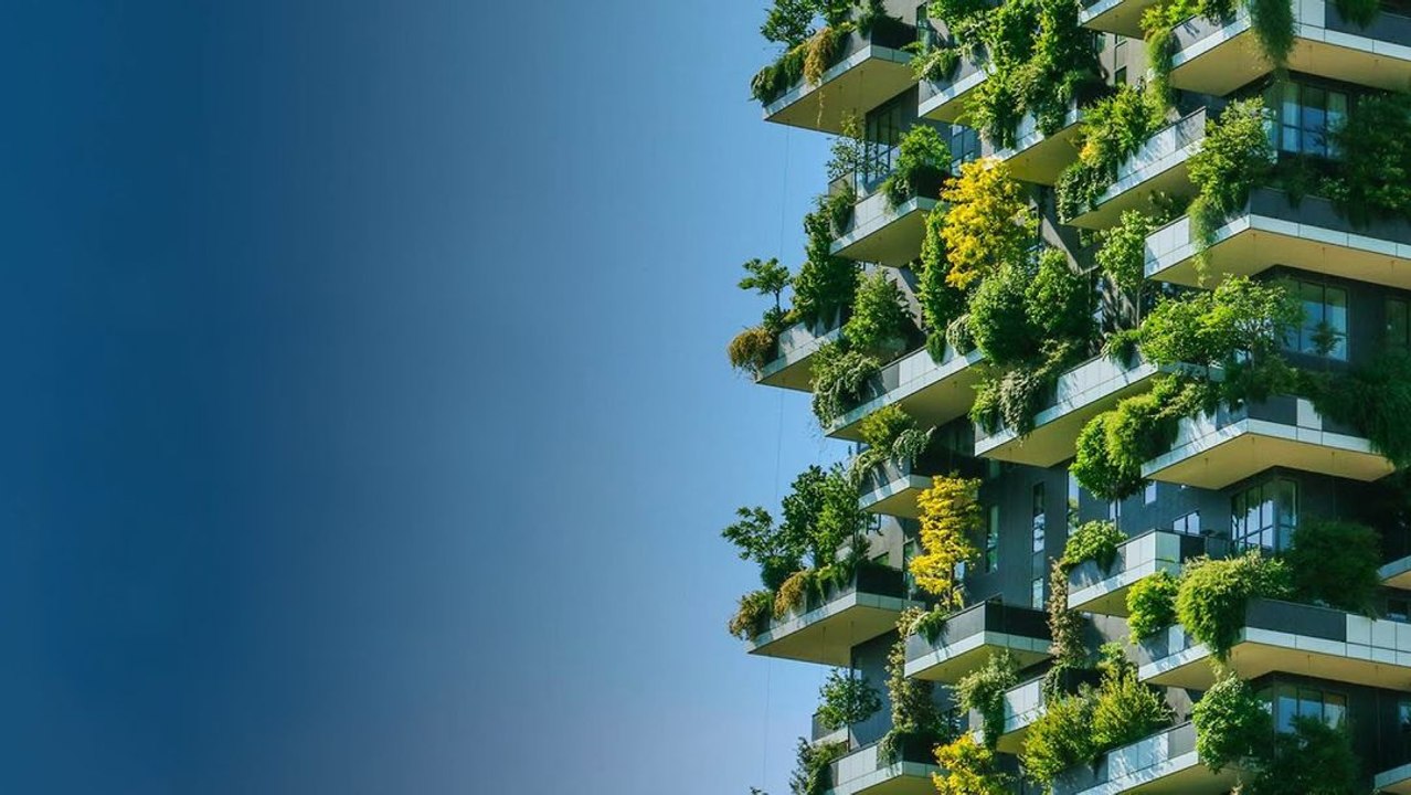 What If Everyone Planted a Tree on Their Birthday?
