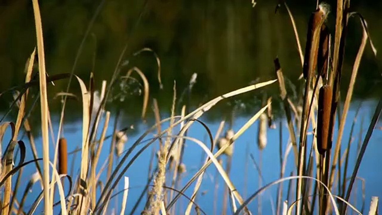 10,000 BC - Se2 - Ep05 HD Watch HD Deutsch