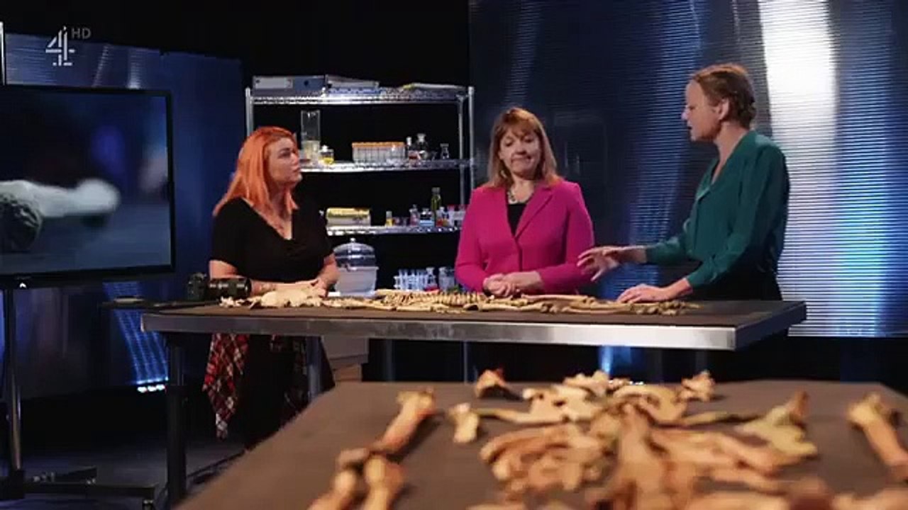 Bone Detectives - Britain's Buried Secrets - Se1 - Ep02 HD Watch HD Deutsch