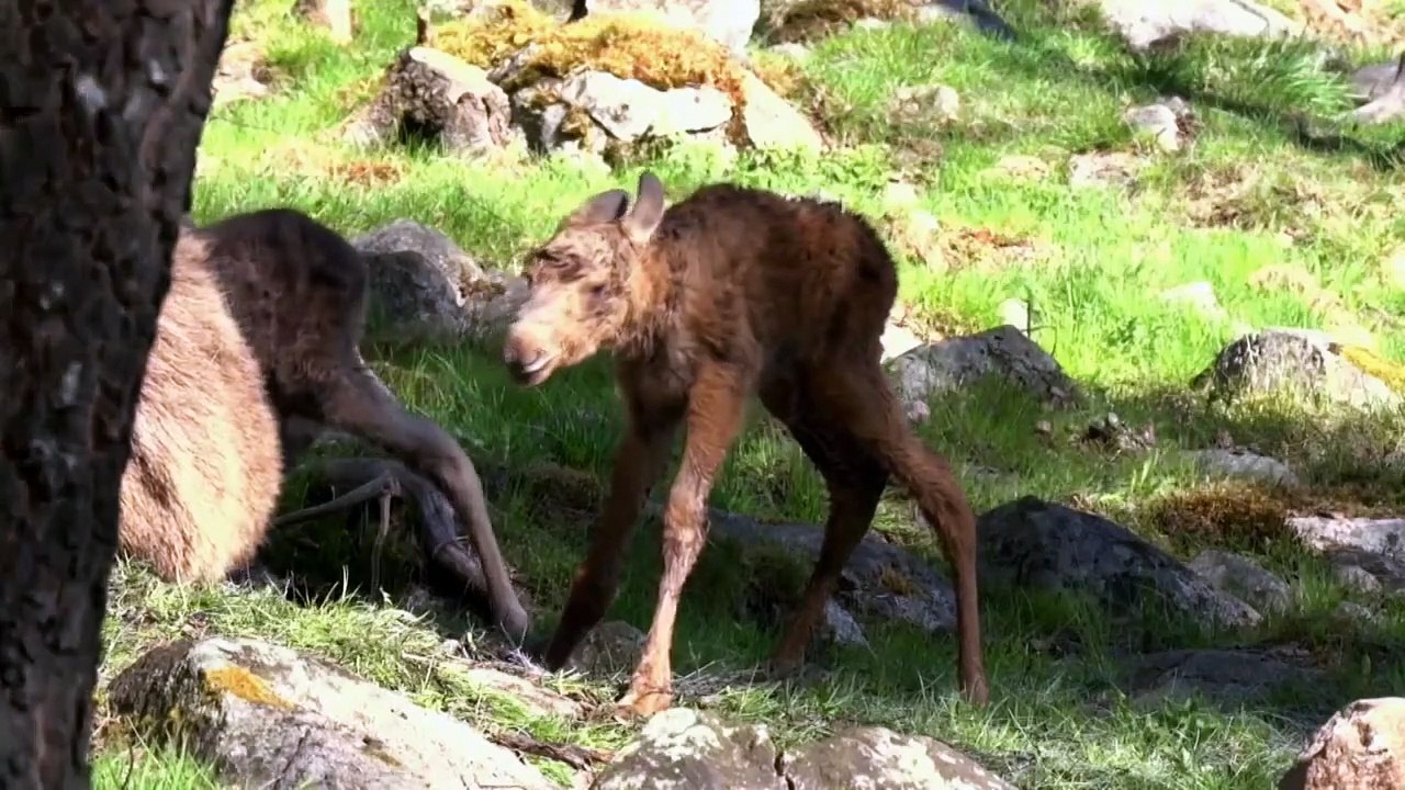 Beyond the Unknown - Se2 - Ep02 - Amelia Earhart HD Watch HD Deutsch