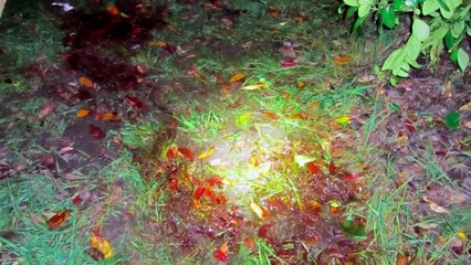 Still A Mystery - Se2 - Ep01 - The Party Mur-'ders HD Watch HD Deutsch