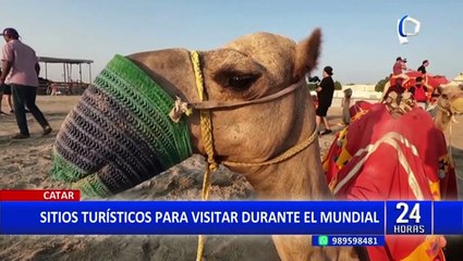 Qatar: conozca los magníficos lugares turísticas en la sede del Mundial