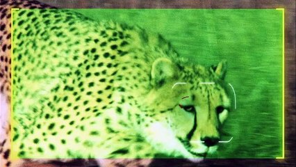 Super Senses - Se1 - Ep01 HD Watch HD Deutsch