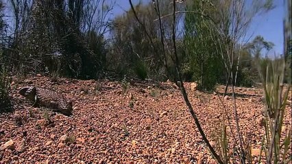 Super Senses - Se1 - Ep07 HD Watch HD Deutsch