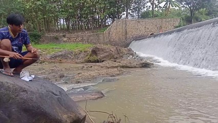 TAK DI SANGKA TERNYATA SUNGAI INI BANYAK SEKALI IKAN
