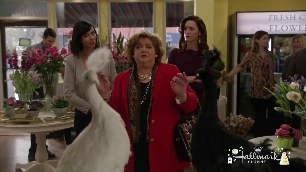 The Good Witch (2015) - Se3 - Ep09 - Not Getting Married Today, Part 1 HD Watch HD Deutsch