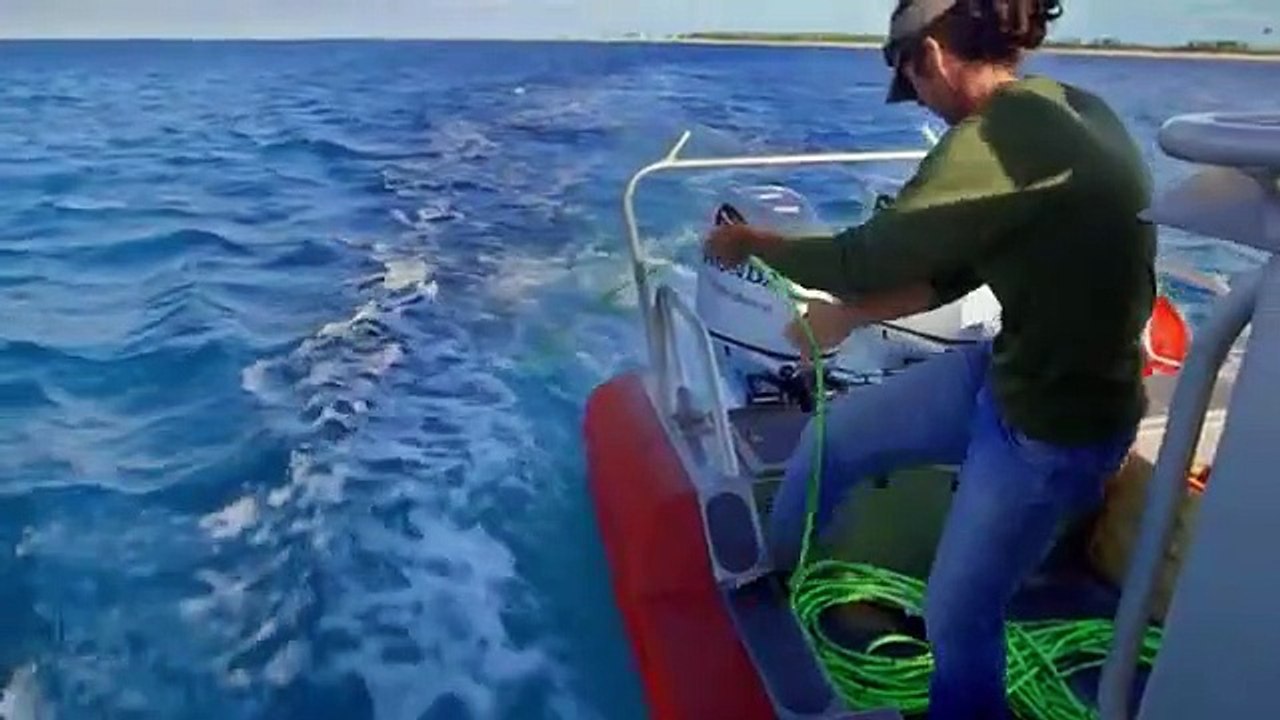 Cooper's Treasure - Se2 - Ep01 HD Watch HD Deutsch