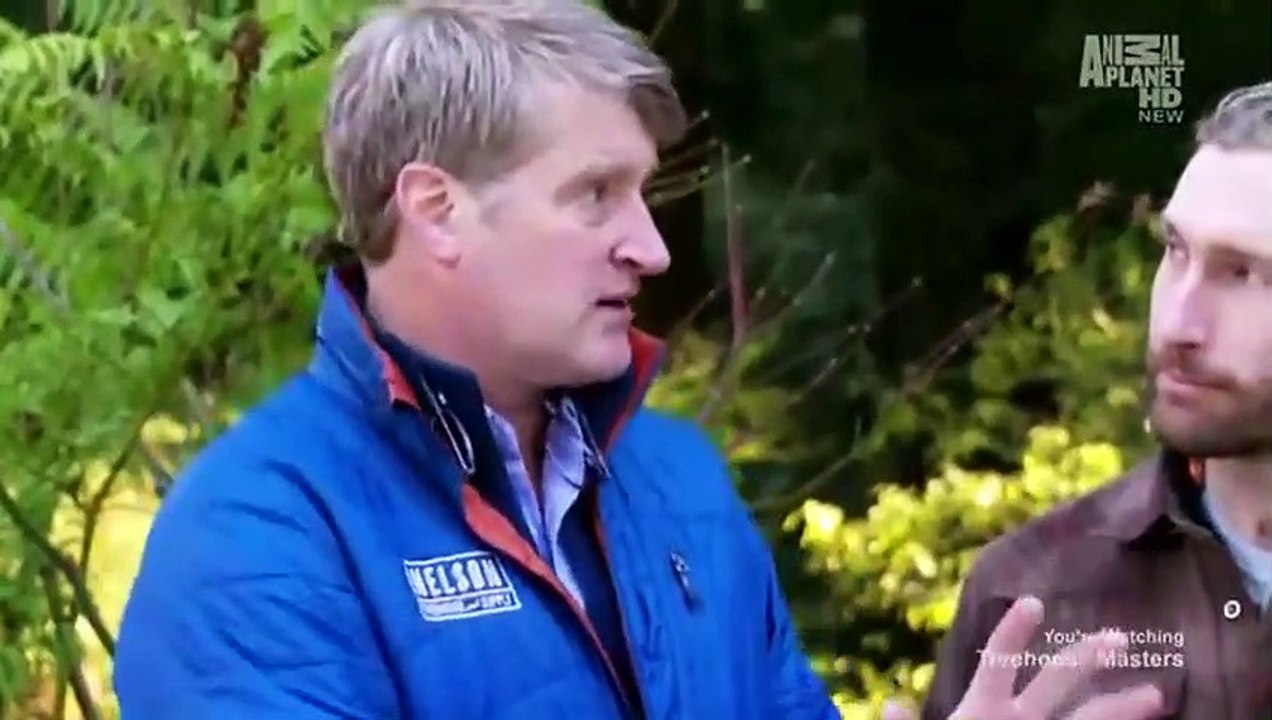 Treehouse Masters - Se2 - Ep04 HD Watch HD Deutsch