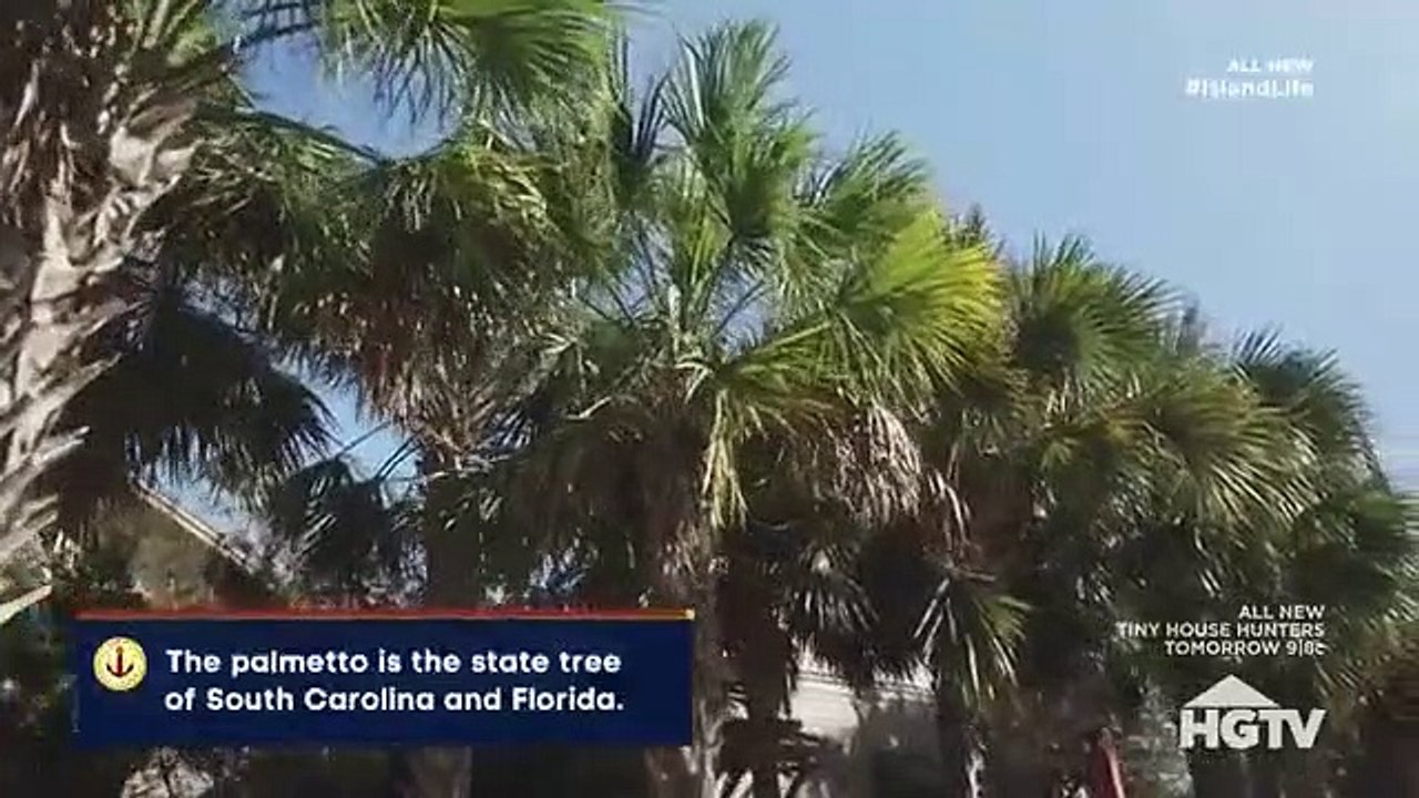 Island Life - Se8 - Ep10 - Family Fun On Isle Of Palms HD Watch HD Deutsch