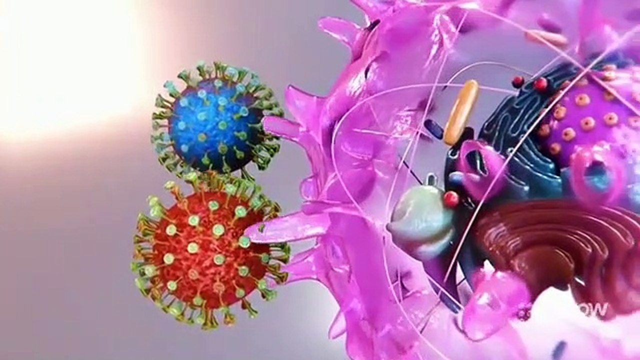 Under Investigation - Se1 - Ep03 HD Watch HD Deutsch