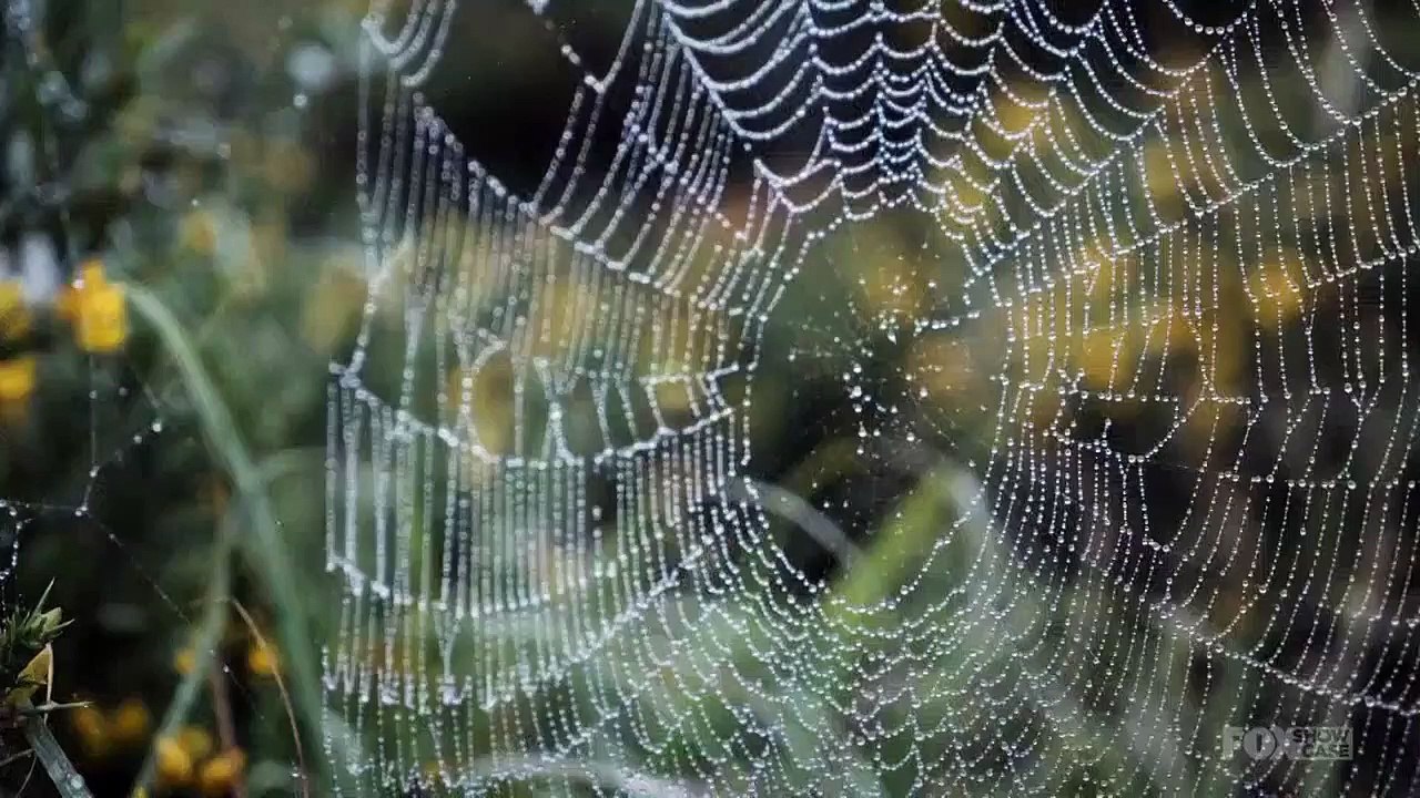 Lambs of god - se1 - ep01 hd watch hd deutsch