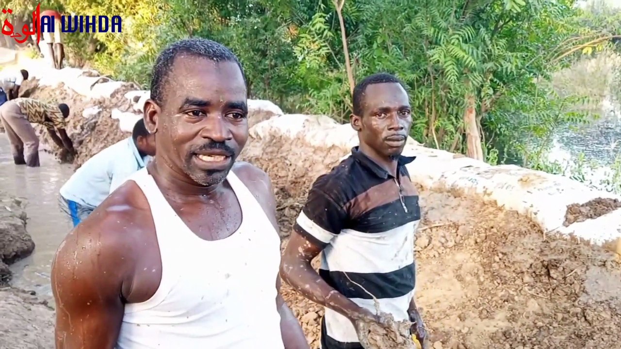 Tchad : ils renforcent des digues à mains nues à Walia face à la crue