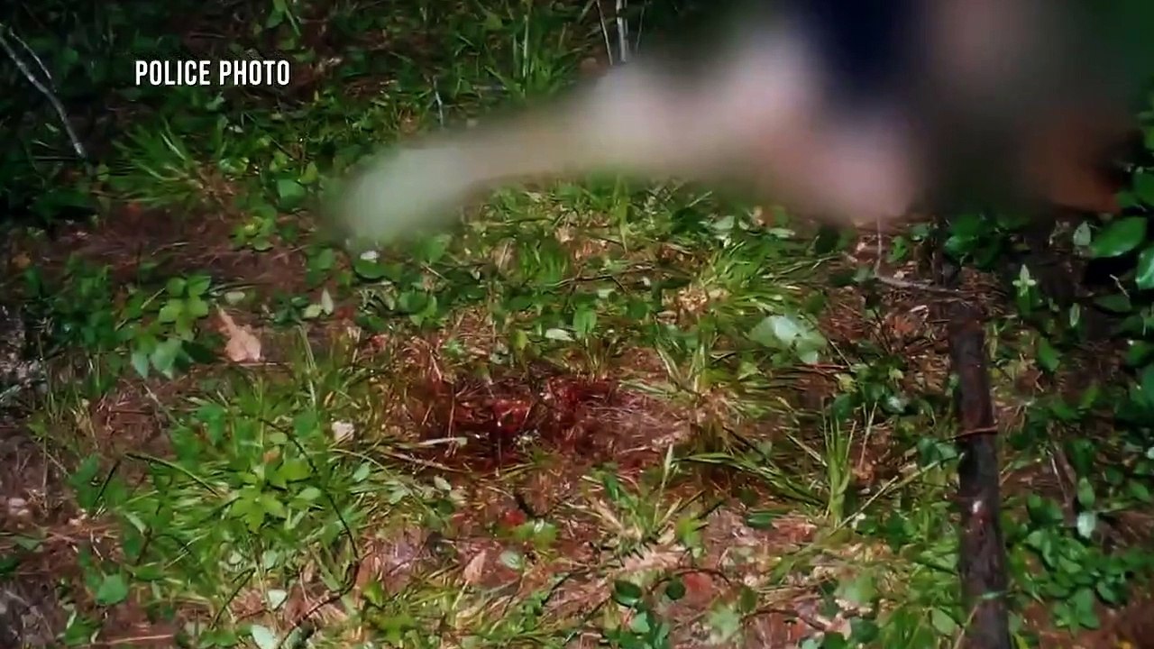 Lone Star Justice - Se1 - Ep06 - Long Arm of the Law HD Watch HD Deutsch